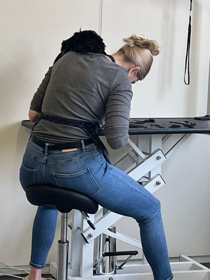 Let's Groom Hundesalon, Nadia Widmer, Industriestrasse 7, 5722 Gränichen
